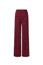 Polyestervezel (polyester) Rechte broek Pailletten Elegante herfst/winterkleding